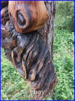 Horse Head Wood Sculptures County Rustic Folk Art Cypress Chainsaw Carving Horse Head Wood Sculptures County Rustic Folk Art Cypress Chainsaw Carving