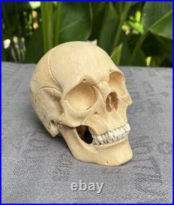 Human Skull Wood Skeleton Head carved Wooden Sculpture Wood Skull Decoration Human Skull Wood Skeleton Head carved Wooden Sculpture Wood Skull Decoration
