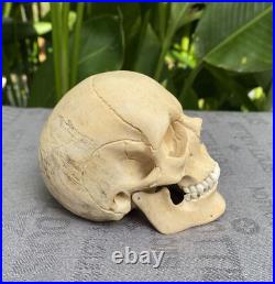 Human Skull Wood Skeleton Head carved Wooden Sculpture Wood Skull Decoration Human Skull Wood Skeleton Head carved Wooden Sculpture Wood Skull Decoration