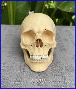Human Skull Wood Skeleton Head carved Wooden Sculpture Wood Skull Decoration Human Skull Wood Skeleton Head carved Wooden Sculpture Wood Skull Decoration