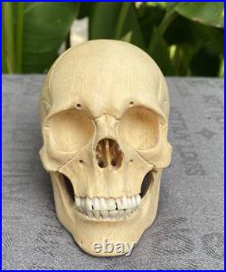 Human Skull Wood Skeleton Head carved Wooden Sculpture Wood Skull Decoration Human Skull Wood Skeleton Head carved Wooden Sculpture Wood Skull Decoration