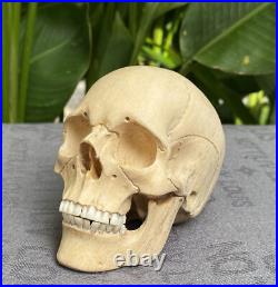 Human Skull Wood Skeleton Head carved Wooden Sculpture Wood Skull Decoration Human Skull Wood Skeleton Head carved Wooden Sculpture Wood Skull Decoration