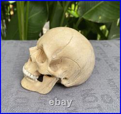 Human Skull Wood Skeleton Head carved Wooden Sculpture Wood Skull Decoration Human Skull Wood Skeleton Head carved Wooden Sculpture Wood Skull Decoration
