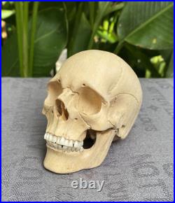 Human Skull Wood Skeleton Head carved Wooden Sculpture Wood Skull Decoration Human Skull Wood Skeleton Head carved Wooden Sculpture Wood Skull Decoration