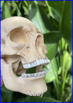 Human Skull Wood Skeleton Head carved Wooden Sculpture Wood Skull Decoration Human Skull Wood Skeleton Head carved Wooden Sculpture Wood Skull Decoration
