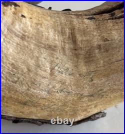 Illegible Signed Kinglet Songbird Hand Carved wooden Sculpture Bird Figure