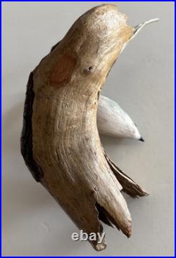 Illegible Signed Kinglet Songbird Hand Carved wooden Sculpture Bird Figure