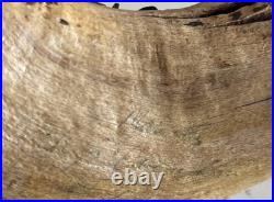 Illegible Signed Kinglet Songbird Hand Carved wooden Sculpture Bird Figure