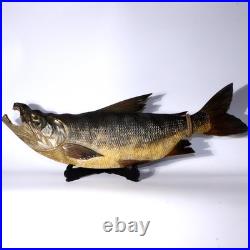 Japanese Vintage Wooden Carving of Salmon Ornate Sculpture WO414 Japanese Vintage Wooden Carving of Salmon Ornate Sculpture WO414