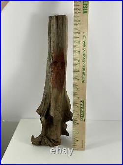Junior Cobb Signed Wood Carving Folk Art Tree Spirit Mythical One Of A Kind
