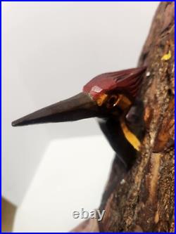 Junior Cobb, Woodpecker in a knot hole