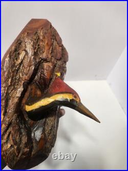 Junior Cobb, Woodpecker in a knot hole