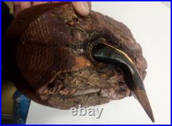 Junior Cobb, Woodpecker in a knot hole