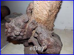 Large Ironwood Lions vs Leopard AFRICAN Sculpture Wood CARVING ART Orlando