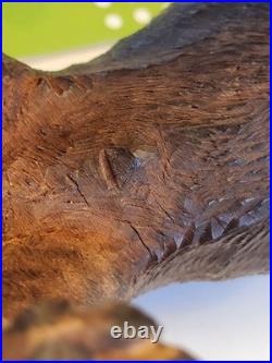 Late 1800's Black Forest Hand Carved Wood Dog Sculpture Highly Detailed 8.5 Inch