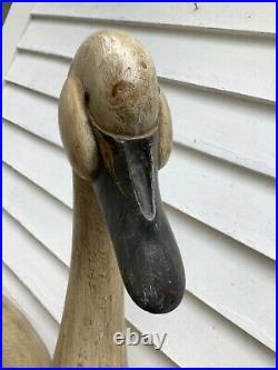 Life Size Trumpeter Swan Wood Carving By Connecticut Artist Richard J. Kach