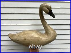 Life Size Trumpeter Swan Wood Carving By Connecticut Artist Richard J. Kach