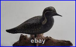 Life like 1979 Wood Decoy Carving of a Golden Plover by Richard Watson, Michigan