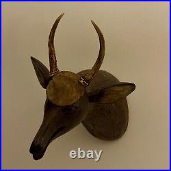 Magnificent & Unusual Folk Art Wood Sculpture of Deer Head With Real Antlers