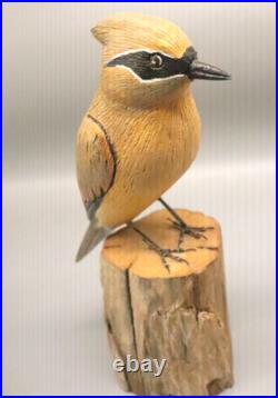 Maine Folk Art Bird Wood Carving Roland LaVallee Cedar Waxwing Signed Piece