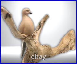 Maine Folk Art Mourning Dove Driftwood Sculpture Hand Carved Signed