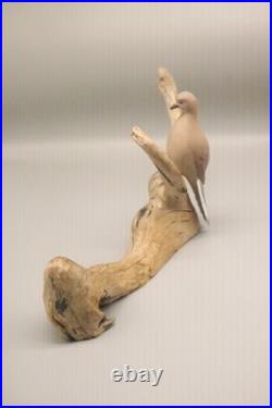 Maine Folk Art Mourning Dove Driftwood Sculpture Hand Carved Signed