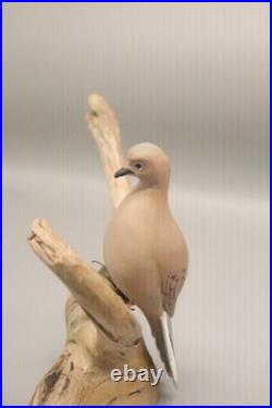 Maine Folk Art Mourning Dove Driftwood Sculpture Hand Carved Signed