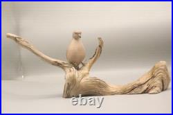 Maine Folk Art Mourning Dove Driftwood Sculpture Hand Carved Signed