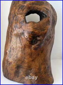 Natural Burl Wood Sculptural Form Organic Modern Decor One of a Kind 19 Natural