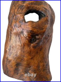 Natural Burl Wood Sculptural Form Organic Modern Decor One of a Kind 19 Natural
