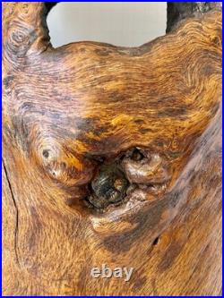 Natural Burl Wood Sculptural Form Organic Modern Decor One of a Kind 19 Natural
