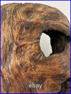Natural Burl Wood Sculptural Form Organic Modern Decor One of a Kind 19 Natural