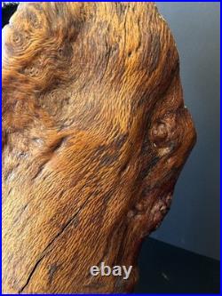 Natural Burl Wood Sculptural Form Organic Modern Decor One of a Kind 19 Natural
