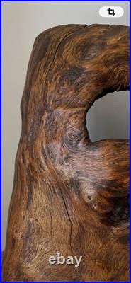 Natural Burl Wood Sculptural Form Organic Modern Decor One of a Kind 19 Natural