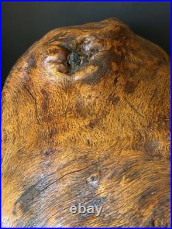 Natural Burl Wood Sculptural Form Organic Modern Decor One of a Kind 19 Natural