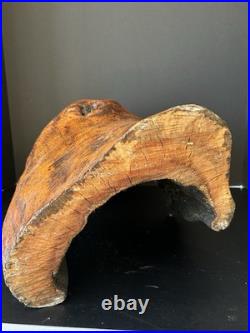 Natural Burl Wood Sculptural Form Organic Modern Decor One of a Kind 19 Natural