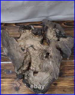 Natural Wood Burl Art Deco Piece