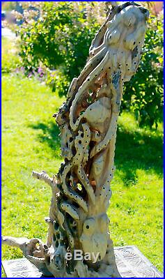Octopus cephalopod Sealife Statue Hand Carved Wood Sculpture Balinese art 43