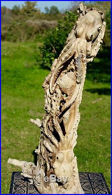 Octopus cephalopod Sealife Statue Hand Carved Wood Sculpture Balinese art 43