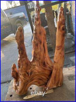 Original Swamp Dong Cypress Knee Art Piece! Absolutely Beautiful