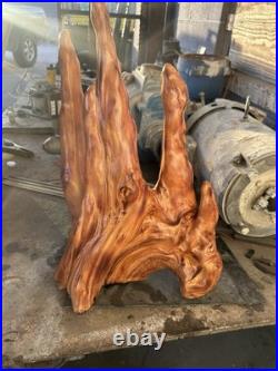 Original Swamp Dong Cypress Knee Art Piece! Absolutely Beautiful