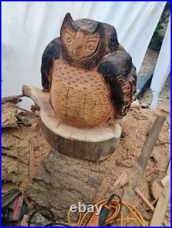 Owl Owl