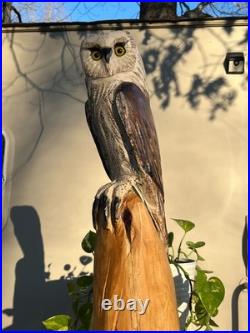 Owl Barn Monkey Face Bird Cedar Totem Pole Chainsaw Carving Sculpture Wood