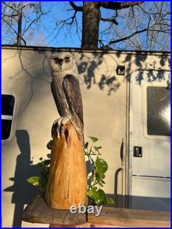 Owl Barn Monkey Face Bird Cedar Totem Pole Chainsaw Carving Sculpture Wood