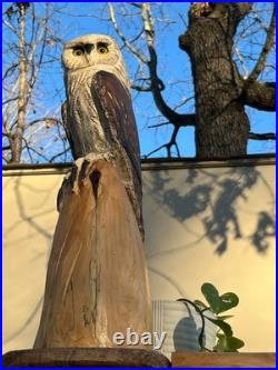 Owl Barn Monkey Face Bird Cedar Totem Pole Chainsaw Carving Sculpture Wood