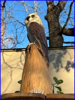 Owl Barn Monkey Face Bird Cedar Totem Pole Chainsaw Carving Sculpture Wood