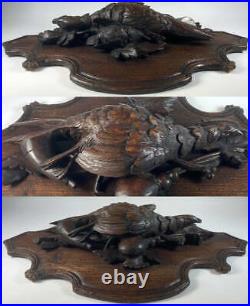 Pair (2) 19th C. Swiss Black Forest Carved Plaques, Game Birds Nature Morte