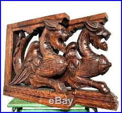 Pair architectural griffin corbel bracket Antique french salvaged wood carving