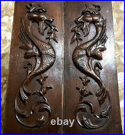 Pair dragon fire griffin wood carving panel Antique french architectural salvage