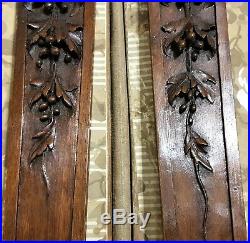 Pair fruit garland carving corbel bracket Antique french architectural salvage